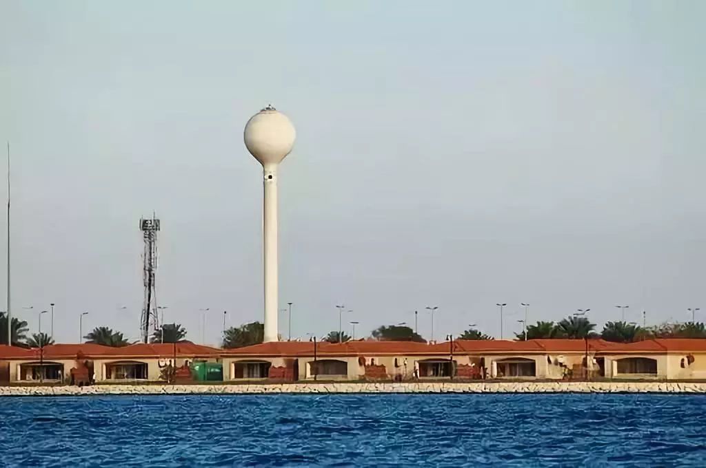 941.jpg