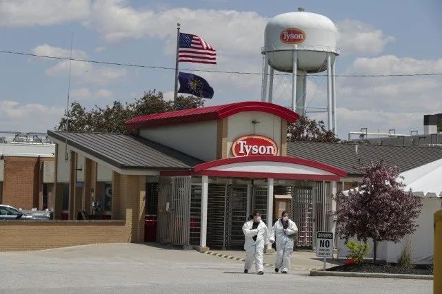 2725.jpg